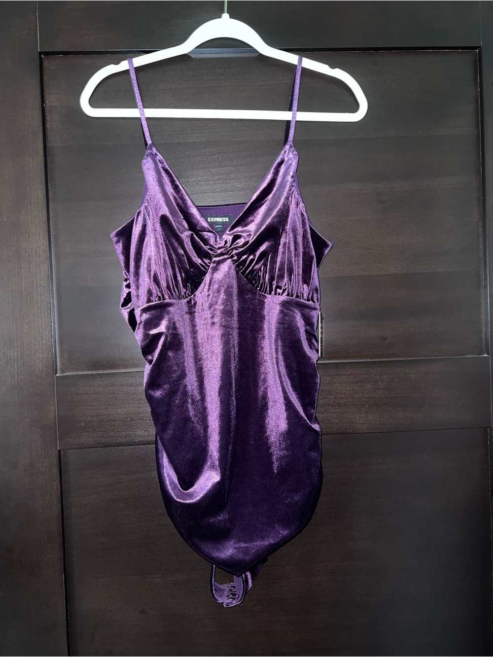 Express Deep Purple Velvet Spaghetti-Strap Bodysuit